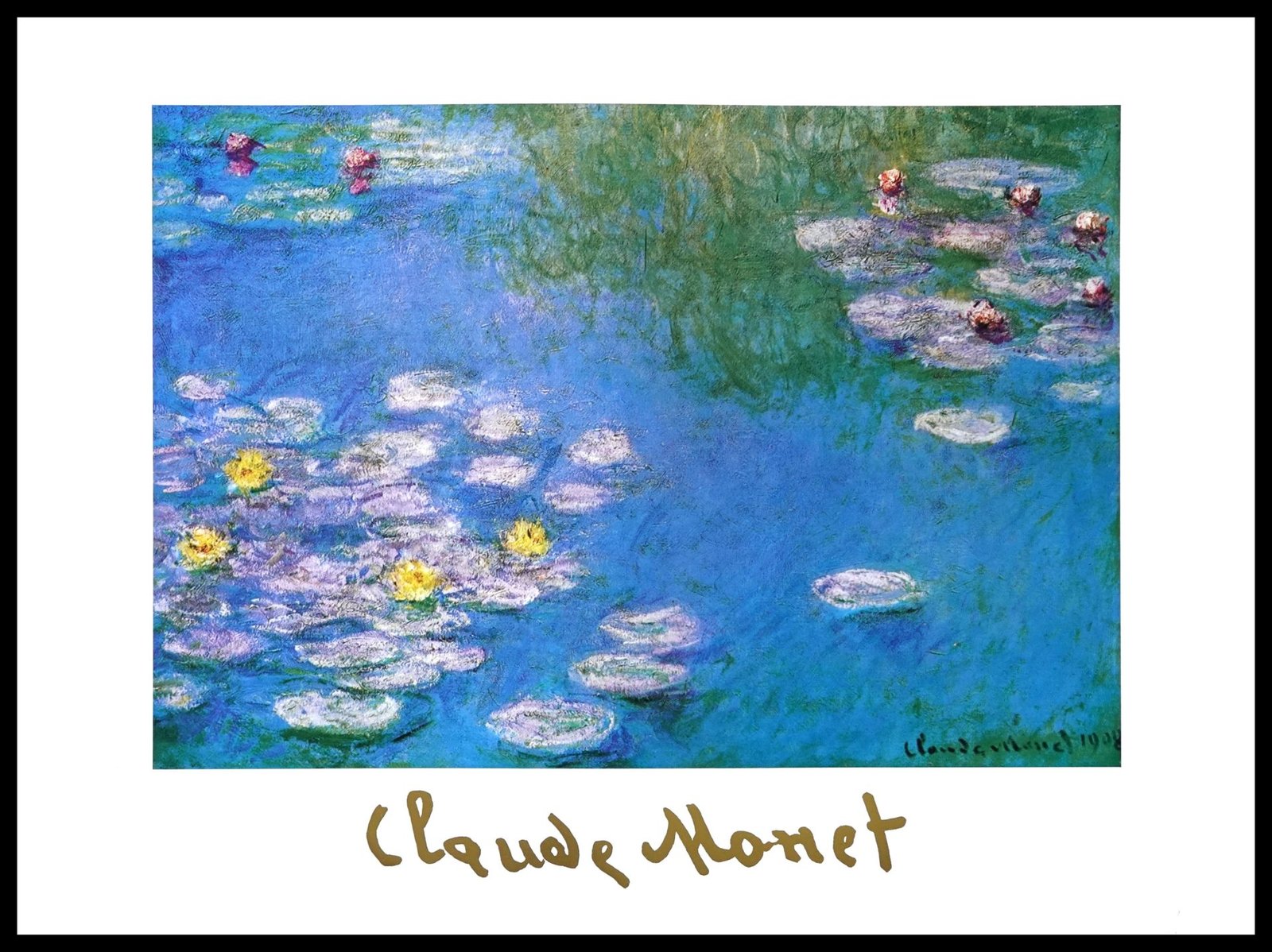 EGIM MONET-215